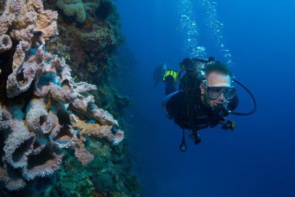 Scuba diving in Panglao Bohol