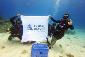 Coral rescue