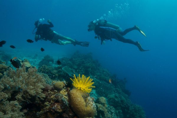 Fun diving trip with Haka Dive Center