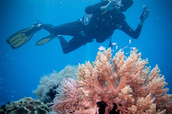 PADI course advance - Haka