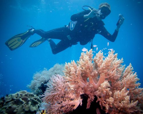 PADI Refresher course with Haka Dive Center in Panglao, Bohol.